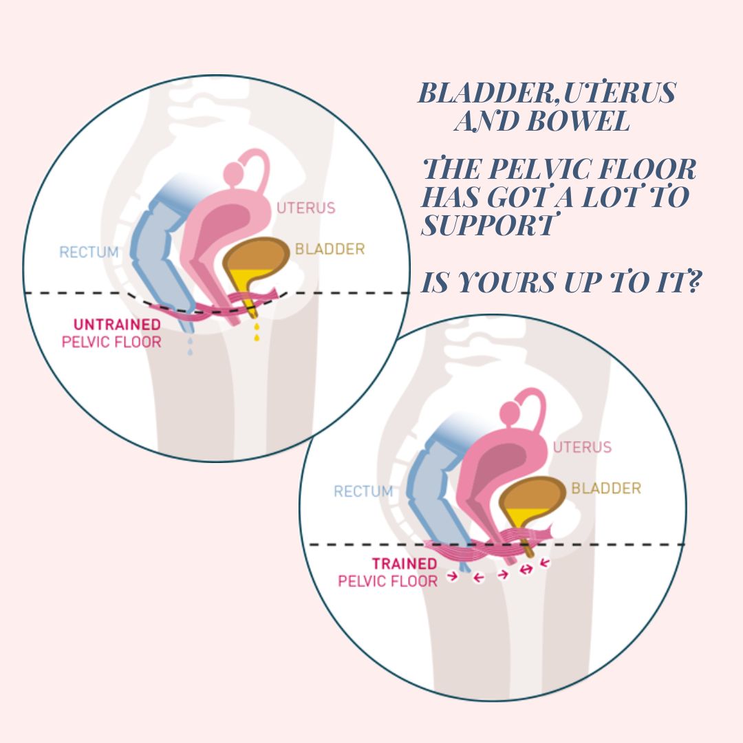 bladder uterus and bowel is yours up to it