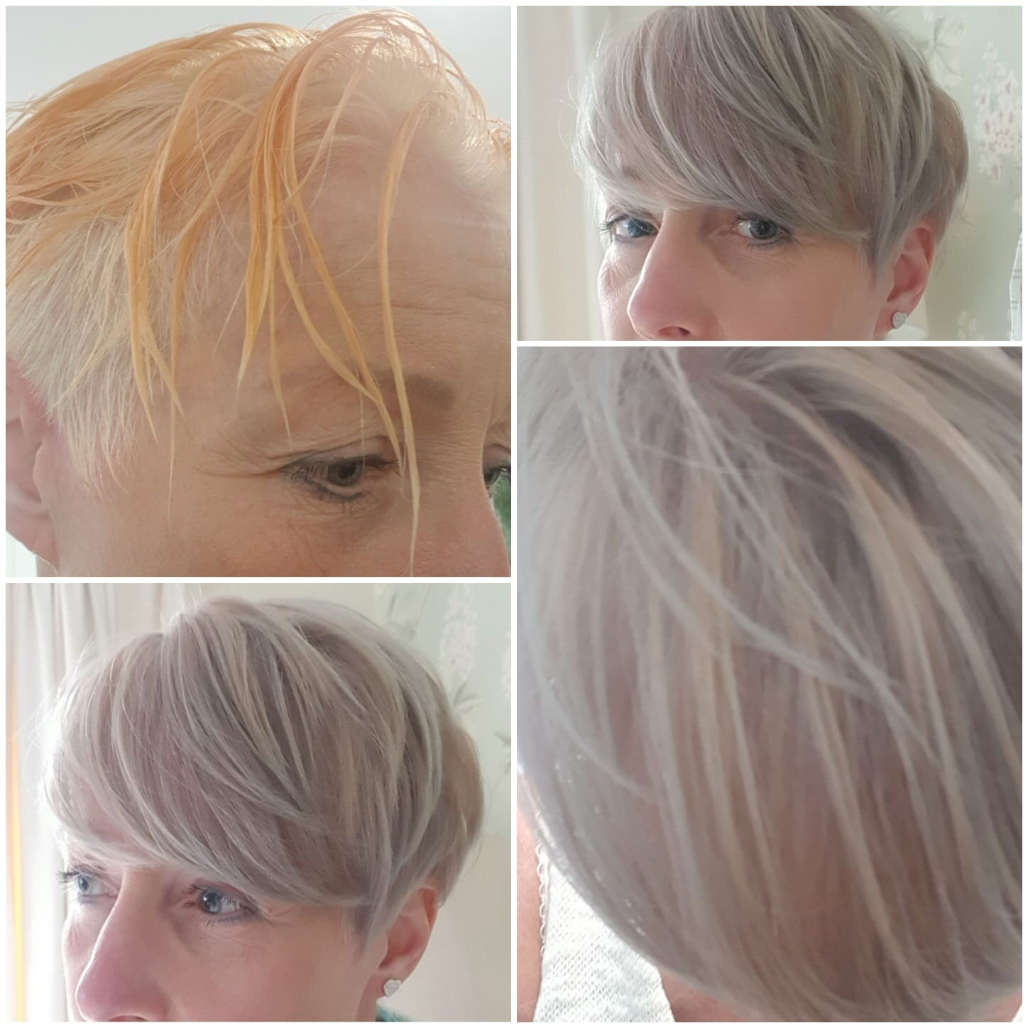 grey+4